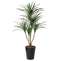 【送料無料】ユッカ (人工観葉植物) 高さ135cm 光触媒 (429A250)