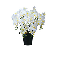 光触媒 人工観葉植物 造花 キング胡蝶蘭7本立W (高さ76cm)