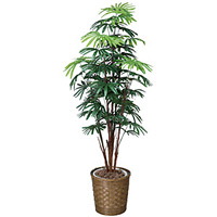 【送料無料】シュロチク (人工観葉植物) 高さ160cm 光触媒 (500A280)