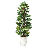 【送料無料】ポトス (人工観葉植物) 高さ135cm 光触媒 (511A250)