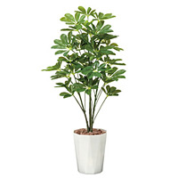 光触媒 人工観葉植物 シェフレラ90 (高さ90cm)
