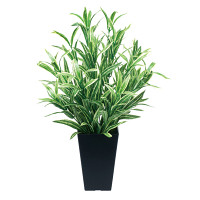 光触媒 人工観葉植物 造花 ツートンスパイダー (高さ50cm)
