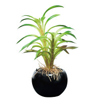 光触媒 人工観葉植物 造花 カクタスインポット(ポリ製) (高さ20cm)