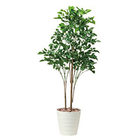 【送料無料】ローズウッドツリー1.8(ポリ製) (屋外用人工観葉植物) 高さ180cm ※光触媒ではありません (530E480)