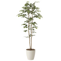 【送料無料】マウンテンアッシュ (人工観葉植物) 高さ160cm 光触媒 (604A270)