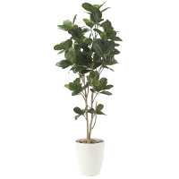 【送料無料】パンの木1.25 (人工観葉植物) 高さ125cm 光触媒機能付 (611E200)