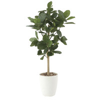 【送料無料】パンの木90 (人工観葉植物) 高さ90cm 光触媒機能付 (613E130)