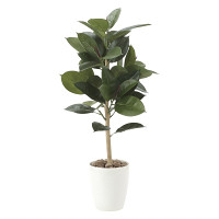 【送料無料】ゴムの木90 (人工観葉植物) 高さ90cm 光触媒 (614E130)