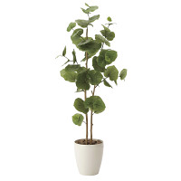 【送料無料】シーグレープ (人工観葉植物) 高さ125cm 光触媒 (615A180)