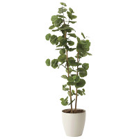 光触媒 人工観葉植物 造花 シーグレープ1.6 (高さ160cm)