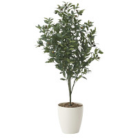 【送料無料】オリーブ (人工観葉植物) 高さ110cm 光触媒 (617A180)