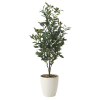 【送料無料】オリーブ (人工観葉植物) 高さ130cm 光触媒 (618A250)