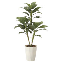 【送料無料】フィロ90 (人工観葉植物) 高さ90cm 光触媒 (620A120)