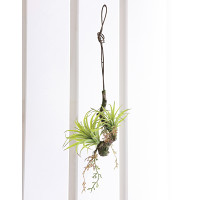 光触媒 人工観葉植物 造花 エア―プランツW(ポリ製) (高さ54cm)