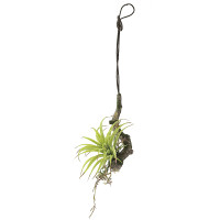 エアープランツS(ポリ製) (人工観葉植物) 高さ52cm 光触媒機能付 (648A40)