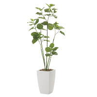 【送料無料】アーバンブランチウンベラータ (人工観葉植物) 高さ190cm 光触媒 (712A650)