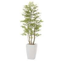 アーバンゴールデンリーフ (人工観葉植物) 高さ180cm 光触媒 (714A680)