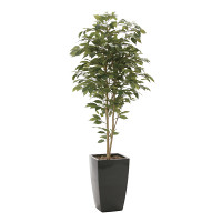 【送料無料】アーバンベンジャミン (人工観葉植物) 高さ180cm 光触媒 (715A550)