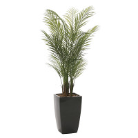 アーバンアレカパーム (人工観葉植物) 高さ170cm 光触媒 (716A580)