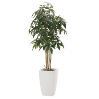 【送料無料】アーバンパキラ (人工観葉植物) 高さ180cm 光触媒 (717A550)