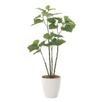 【送料無料】ブランチウンベラータ1.15 (人工観葉植物) 高さ115cm 光触媒機能付 (721A230)