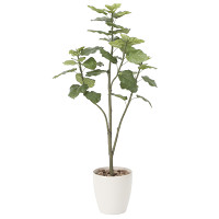 【送料無料】ウンベラータツリー (人工観葉植物) 高さ150cm 光触媒 (806A300)