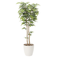 光触媒 人工観葉植物 造花 ケヤキ1.8 (高さ180cm)