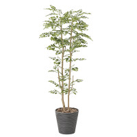 光触媒 人工観葉植物 ゴールデンツリー1.6 (高さ160cm)