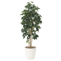 【送料無料】シェフレラ (人工観葉植物) 高さ180cm 光触媒 (812A400)