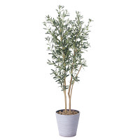 【送料無料】オリーブ (人工観葉植物) 高さ160cm 光触媒 (814A330)