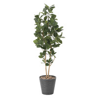 【送料無料】パンの木1.6 (人工観葉植物) 高さ160cm 光触媒機能付 (815A320)