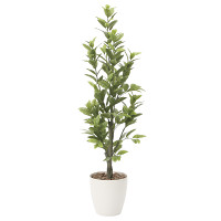 【送料無料】レモン (人工観葉植物) 高さ160cm 光触媒 (816A300)