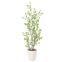 【送料無料】ユーカリ1.3 (人工観葉植物) 高さ130cm 光触媒機能付 (819A230)