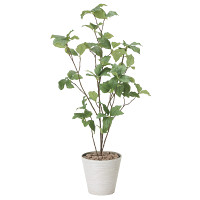 サラサドウダン90 (人工観葉植物) 高さ90cm 光触媒機能付 (827G85)