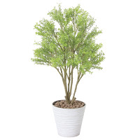【送料無料】ミニメープル (人工観葉植物) 高さ70cm 光触媒 (830A100)