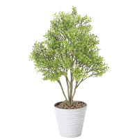 【送料無料】ボックスウッド (人工観葉植物) 高さ70cm 光触媒 (831A100)