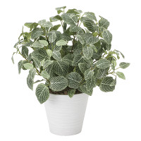 光触媒 人工観葉植物 造花 フィットニアM(フロック加工) (高さ48cm)