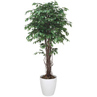 光触媒 人工観葉植物 造花 ベンジャミンリアナ 1.8 (高さ180cm)