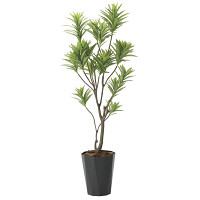 光触媒 人工観葉植物 造花 フレッシュドラセナ1.8 (高さ180cm)