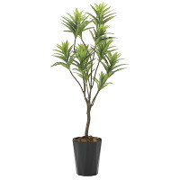 光触媒 人工観葉植物 フレッシュドラセナ1.45 (高さ145cm)