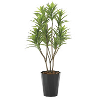 光触媒 人工観葉植物 フレッシュドラセナ1.2 (高さ120cm)