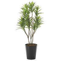 光触媒 人工観葉植物 造花 フレッシュドラセナ1.2 (高さ120cm)