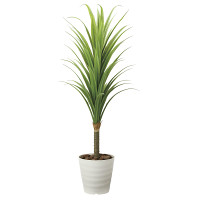 光触媒 人工観葉植物 ドラセナ1.8(ポリ製) (高さ180cm)