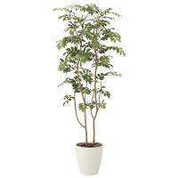 光触媒 人工観葉植物 造花 マウンテンアッシュ1.6 (高さ160cm)