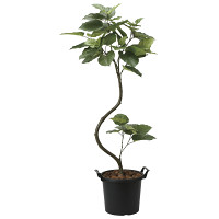 光触媒 人工観葉植物 インテリアウンベラータ1.65 (高さ165cm)