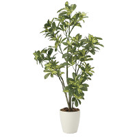 光触媒 人工観葉植物 シェフレラ1.15 (高さ115cm)