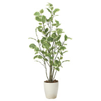 光触媒 人工観葉植物 造花 ポリシャス1.15 (高さ115cm)