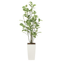 【送料無料】【2020年新商品】ポリシャス1.3 (人工観葉植物) 高さ130cm 光触媒機能付 (2030A200)