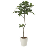 光触媒 人工観葉植物 造花 ベンガル菩提樹1.35 (高さ135cm)