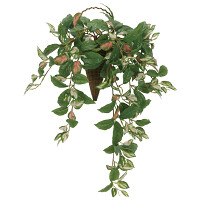 光触媒 人工観葉植物 造花 壁掛けツートンホヤ (高さ70cm)